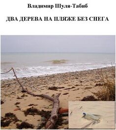 Владимир Шуля-Табиб: Два дерева на пляже без снега