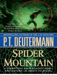P Deutermann: Spider mountain