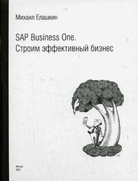Михаил Елашкин: SAP Business One. Строим эффективный бизнес