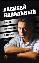 Константин Воронков: Алексей Навальный. Гроза жуликов и воров