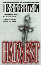 Tess Gerritsen: Harvest