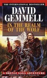 David Gemmell: Waylander II: In The Realm of the Wolf