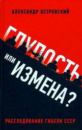 Александр Островский: Глупость или измена? Расследование гибели СССР