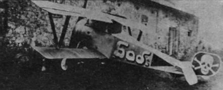 НьюпорXVII 1й боевой авиагруппы захваченный австрийскими войсками Южная - фото 4