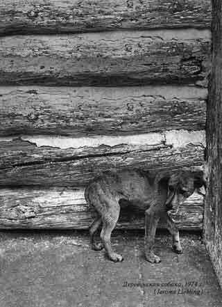 Деревенская собака 1974 г Jerome Liebling Посвящение Мы посвящаем эту - фото 1