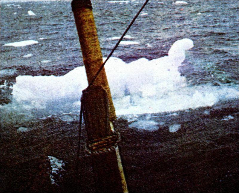 36 Слева по борту опасный паковый лёд 37 38 Брендан финиширует в - фото 41