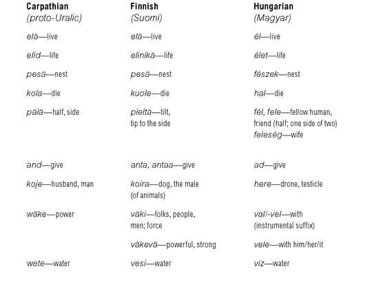 2 CARPATHIAN GRAMMAR AND OTHER CHARACTERISTICS OF THE LANGUAGE IdiomsAs - фото 10