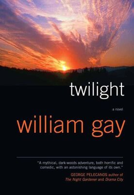 William Gay Twilight