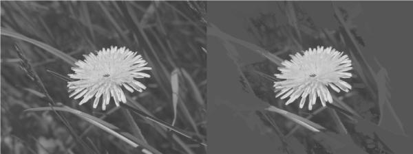 Рис 1028 Исходное изображение слева и пример использования фильтра - фото 421