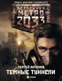 Сергей Антонов: Метро 2033: Темные туннели