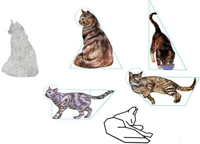 31 Кошки В фигуре нарисованной одними прямыми линиями по Эттниву мы тем - фото 45