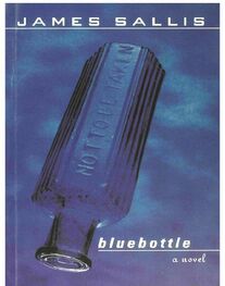 James Sallis: Bluebottle