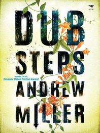 Эндрю Миллер (ЮАР): Dub Steps