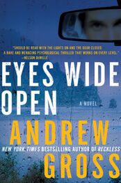 Andrew Gross: Eyes Wide Open