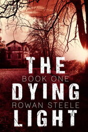 Rowan Steele: The Dying Light