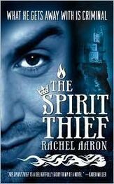 Rachel Aaron: The Spirit Thief