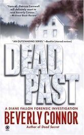 Beverly Connor: Dead Past
