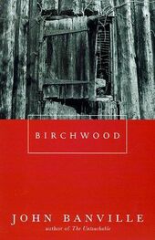 John Banville: Birchwood