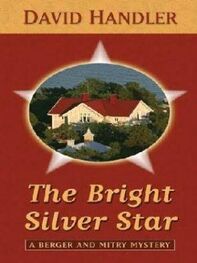 David Handler: The Bright Silver Star