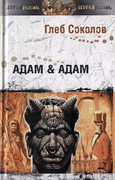 Глеб Соколов: Адам & Адам