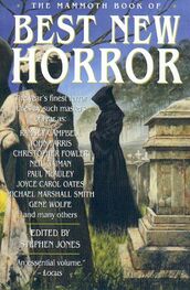 Stephen Jones: The Mammoth Book of Best New Horror. Vol 15