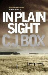 C Box: In Plain Sight