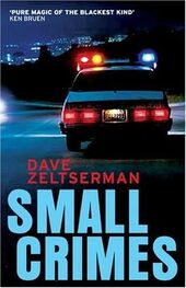 Dave Zeltserman: Small crimes