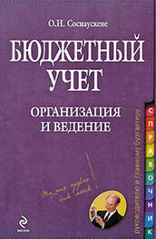 Ольга Соснаускене: Бюджетный учет. Организация и ведение