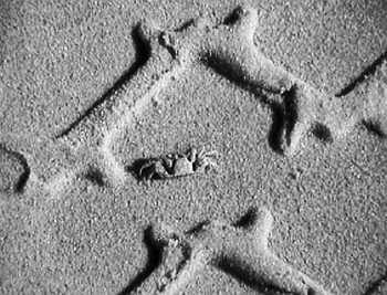 Рис 84 Плитка из ПВХ имитирующая морской песок Рис 85 Плитка из ПВХ - фото 94