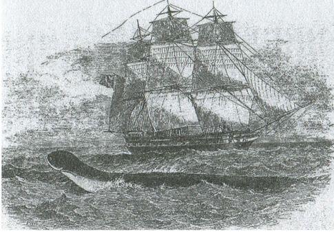 Морской змей Со старинного рисунка Кракен губит корабль Старинная гравюра - фото 18
