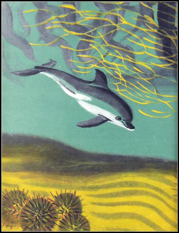 Держа добычу дельфинёнокдевочка спокойно двинулась прочь Дельфиний хвост - фото 6