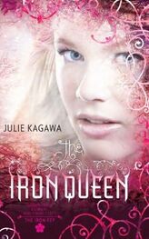 Julie Kagawa: The Iron Queen