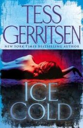 Тесс Герритсен: Ледяной холод