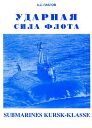 Александр ПАВЛОВ: УДАРНАЯ СИЛА ФЛОТА (подводные лодки типа «Курск»)