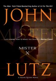 John Lutz: Mister X