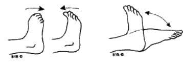 Упражнение 2 Сгибание ног в голеностопных суставах В исходном положении - фото 2