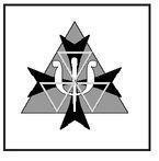 SIGNIFIES shadow knights who protect against evil forces using psychic powers - фото 5