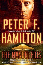 Peter Hamilton: The Mandel Files