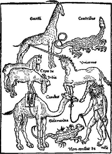 Такими представлялись средневековой Европе самые обычные животные - фото 1