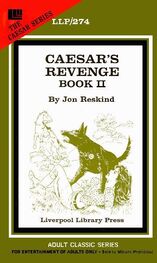 Jon Reskind: Caesar_s revenge book II