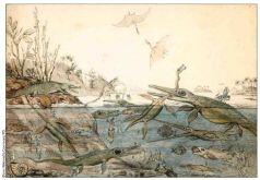 Первый рисунок отображающий жизнь ископаемых существ Древнего мира Акварель - фото 5