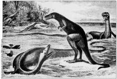Длинношеий плезиозавр открытый Эдвардом Копом Вверху иллюстрация отображает - фото 7
