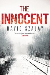 Дэвид Салой: The Innocent