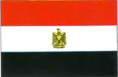 13 Египет Каир 1 000 000 км 2 595 млн чел 14 Заир Киншаса 2 340 000 - фото 117