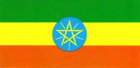 51 Эфиопия АддисАбеба 1 221 000 км 2 528 млн чел 51 ЮжноАфриканская - фото 155