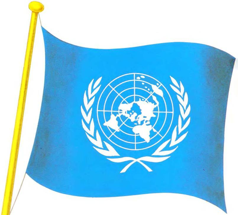 Флаг Организации Объединенных Наций ООН принятый 20 октября 1947 г - фото 58