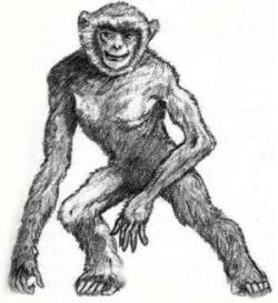 Подражатели это маленькие похожие на обезьянок существа с планеты Яман - фото 84