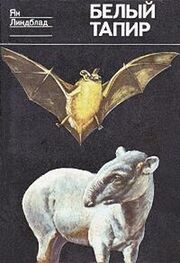 Ян Линдблат: Белый тапир и другие ручные животные