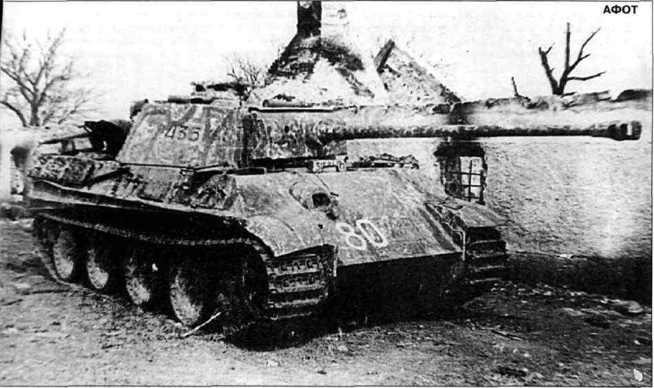 Пантера Ausf G позднего выпуска в необычном камуфляже A Panther Ausf G - фото 172