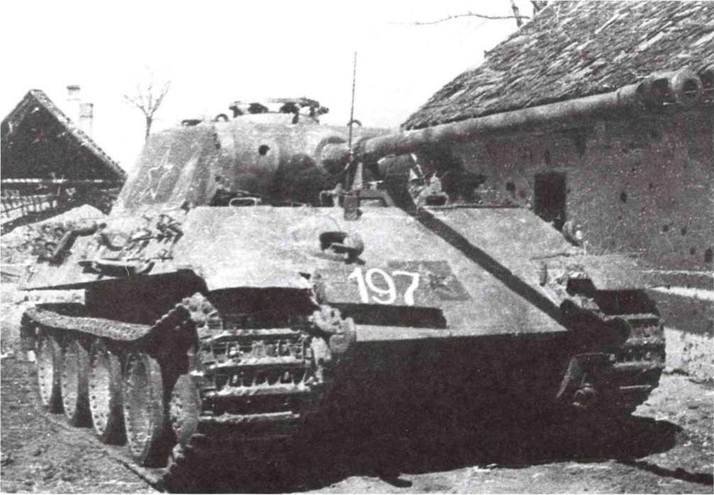 Трофейный танк Пантера из состава 366го самоходноартиллерийского полка 3й - фото 106